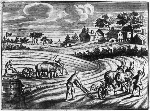 Horse- and Ox-Drawn Plows (1750)